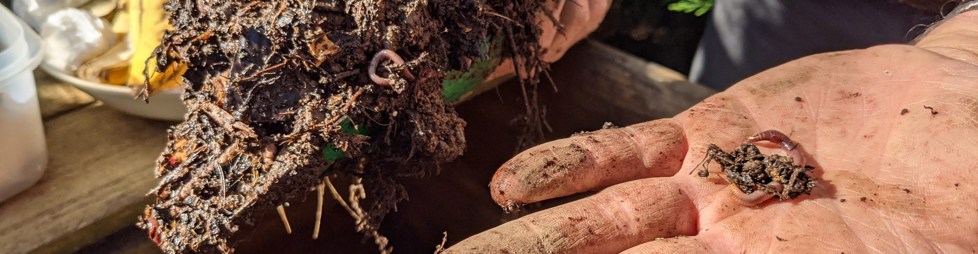 Retour en images sur le Café Compost