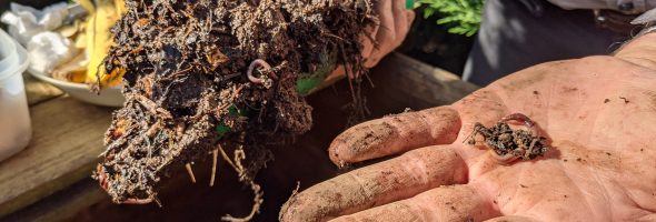 Retour en images sur le Café Compost